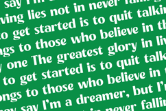 Agorey Dalling - Groovy Serif Display Product Image 17