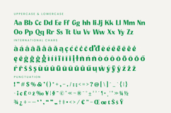 Agorey Dalling - Groovy Serif Display Product Image 19