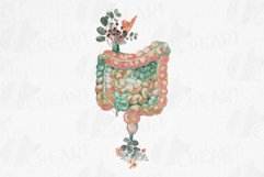 Floral Intestine Art: Watercolor Eucalyptus Anatomy Art Product Image 1