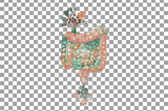 Floral Intestine Art: Watercolor Eucalyptus Anatomy Art Product Image 2