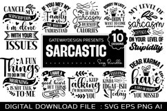 Sarcastic Svg Bundle/Funny Designs Product Image 1