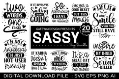 Sassy Svg Bundle, Funny Design, Farmhouse Design Product Image 1