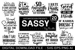 Sassy Svg Bundle, Funny Design, Farmhouse Design Product Image 1
