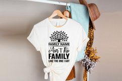 Ain&#039;t No Family Like The One I Got SVG | Family Reunion SVG Product Image 2