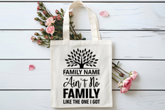 Ain&#039;t No Family Like The One I Got SVG | Family Reunion SVG Product Image 4