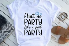 Ain't no party like a pool party SVG , Summer Quote SVG Product Image 2