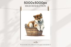 Akita Ina Cute Puppy Baby Dog Animals Clipart PNG Dogs  Scrapbooking Watercolor  Transparent Print for invitation t-shirt designs sublimation kids printable