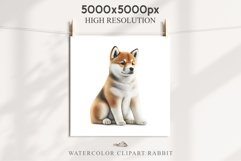 Akita Ina Cute Puppy Baby Dog Animals Clipart PNG Dogs  Scrapbooking Watercolor  Transparent Print for invitation t-shirt designs sublimation kids printable