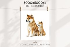 Akita Ina Cute Puppy Baby Dog Animals Clipart PNG Dogs  Scrapbooking Watercolor  Transparent Print for invitation t-shirt designs sublimation kids printable