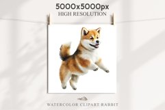 Akita Ina Cute Puppy Baby Dog Animals Clipart PNG Dogs  Scrapbooking Watercolor  Transparent Print for invitation t-shirt designs sublimation kids printable