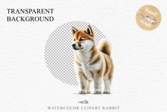 Akita Ina Cute Puppy Baby Dog Animals Clipart PNG Dogs  Scrapbooking Watercolor  Transparent Print for invitation t-shirt designs sublimation kids printable