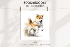 Akita Ina Cute Puppy Baby Dog Animals Clipart PNG Dogs  Scrapbooking Watercolor  Transparent Print for invitation t-shirt designs sublimation kids printable