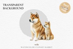 Akita Ina Cute Puppy Baby Dog Animals Clipart PNG Dogs  Scrapbooking Watercolor  Transparent Print for invitation t-shirt designs sublimation kids printable