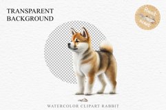 Akita Ina Cute Puppy Baby Dog Animals Clipart PNG Dogs  Scrapbooking Watercolor  Transparent Print for invitation t-shirt designs sublimation kids printable