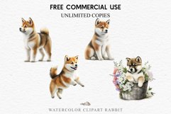 Akita Ina Cute Puppy Baby Dog Animals Clipart PNG Dogs  Scrapbooking Watercolor  Transparent Print for invitation t-shirt designs sublimation kids printable