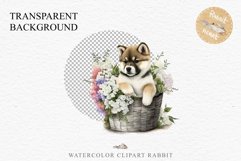 Akita Ina Cute Puppy Baby Dog Animals Clipart PNG Dogs  Scrapbooking Watercolor  Transparent Print for invitation t-shirt designs sublimation kids printable