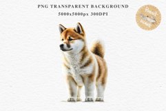 Akita Ina Cute Puppy Baby Dog Animals Clipart PNG Dogs  Scrapbooking Watercolor  Transparent Print for invitation t-shirt designs sublimation kids printable