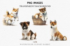 Akita Ina Cute Puppy Baby Dog Animals Clipart PNG Dogs  Scrapbooking Watercolor  Transparent Print for invitation t-shirt designs sublimation kids printable