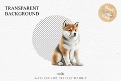 Akita Ina Cute Puppy Baby Dog Animals Clipart PNG Dogs  Scrapbooking Watercolor  Transparent Print for invitation t-shirt designs sublimation kids printable