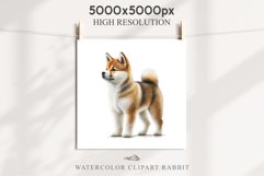 Akita Ina Cute Puppy Baby Dog Animals Clipart PNG Dogs  Scrapbooking Watercolor  Transparent Print for invitation t-shirt designs sublimation kids printable