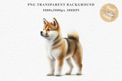 Akita Ina Cute Puppy Baby Dog Animals Clipart PNG Dogs  Scrapbooking Watercolor  Transparent Print for invitation t-shirt designs sublimation kids printable