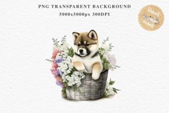 Akita Ina Cute Puppy Baby Dog Animals Clipart PNG Dogs  Scrapbooking Watercolor  Transparent Print for invitation t-shirt designs sublimation kids printable