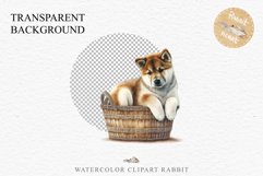 Akita Ina Cute Puppy Baby Dog Animals Clipart PNG Dogs  Scrapbooking Watercolor  Transparent Print for invitation t-shirt designs sublimation kids printable