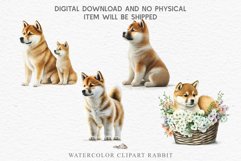 Akita Ina Cute Puppy Baby Dog Animals Clipart PNG Dogs  Scrapbooking Watercolor  Transparent Print for invitation t-shirt designs sublimation kids printable