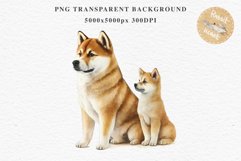 Akita Ina Cute Puppy Baby Dog Animals Clipart PNG Dogs  Scrapbooking Watercolor  Transparent Print for invitation t-shirt designs sublimation kids printable