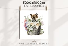 Akita Ina Cute Puppy Baby Dog Animals Clipart PNG Dogs  Scrapbooking Watercolor  Transparent Print for invitation t-shirt designs sublimation kids printable