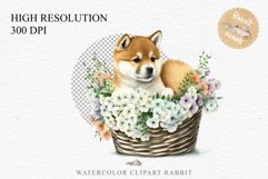 Akita Ina Cute Puppy Baby Dog Animals Clipart PNG Dogs  Scrapbooking Watercolor  Transparent Print for invitation t-shirt designs sublimation kids printable