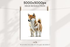 Akita Ina Cute Puppy Baby Dog Animals Clipart PNG Dogs  Scrapbooking Watercolor  Transparent Print for invitation t-shirt designs sublimation kids printable