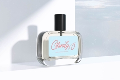 Akmelyn Beridge - Bold Calligraphy Font Product Image 8