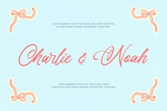 Akmelyn Beridge - Bold Calligraphy Font Product Image 11