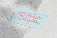 Akmelyn Beridge - Bold Calligraphy Font Product Image 13