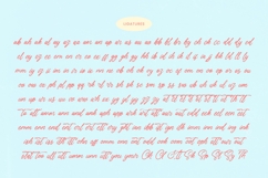 Akmelyn Beridge - Bold Calligraphy Font Product Image 18