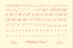 Akmelyn Beridge - Bold Calligraphy Font Product Image 19