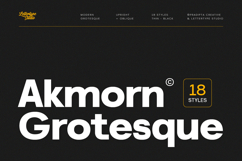 Akmorn Grotesque Modern Sans Serif Family Product Image 1