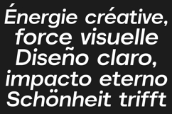 Akmorn Grotesque Modern Sans Serif Family Product Image 13