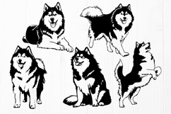 Alaskan Malamute SVG Bundle | 10 Dog Designs PNG DXF EPS AI Product Image 2