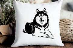 Alaskan Malamute SVG Bundle | 10 Dog Designs PNG DXF EPS AI Product Image 4