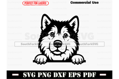 Peeking Alaskan Malamute Dog SVG PNG DXF EPS PDF Product Image 1