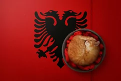 Backgrounds for Photography & Marketing. Albania Product Image 8
