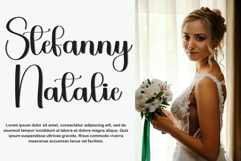 Alchemish Product Image 5