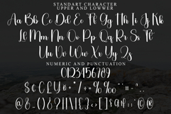 Alchemish Product Image 4