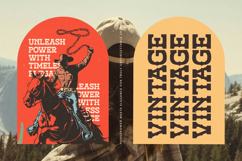 Alchemy Rustic - Slab Serif Font Product Image 14