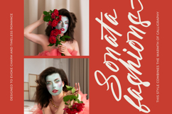 Aleghtoz Mountain - Modern Script Font Product Image 13