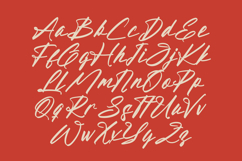 Aleghtoz Mountain - Modern Script Font Product Image 15