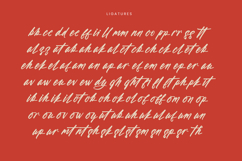 Aleghtoz Mountain - Modern Script Font Product Image 18