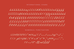 Aleghtoz Mountain - Modern Script Font Product Image 19